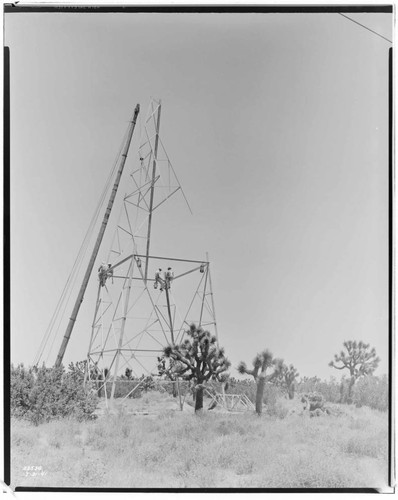 Boulder-Chino Transmission Line (2nd) - Erecting tower with Byer's Crane