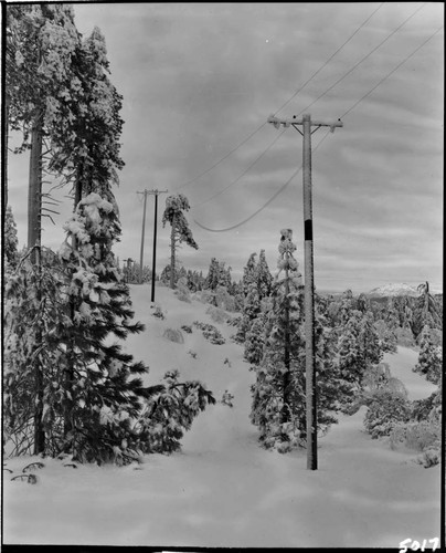 Transmission line at Big Creek with poles and line severely iced