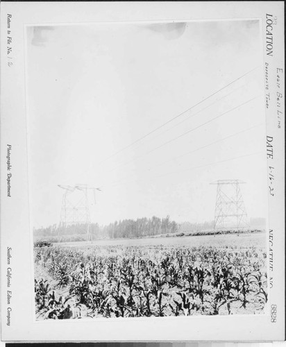 Eagle-Bell Transmission Line