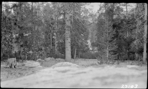 Big Creek, Miscellaneous - Vermilion Valley