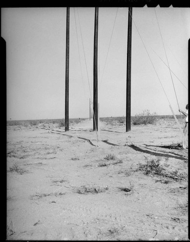 Permanente Line Poles