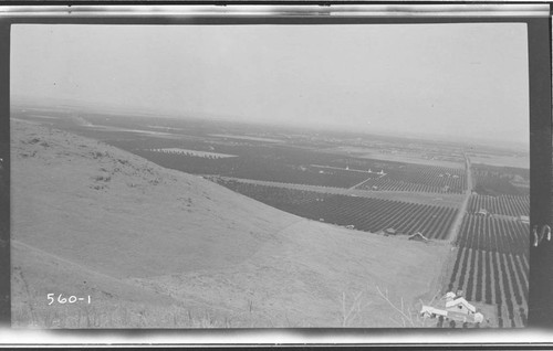 The first part of a landscape view looking west towards Lindsay