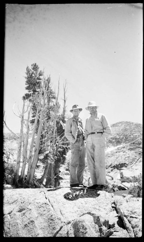 Bear Creek South Fork