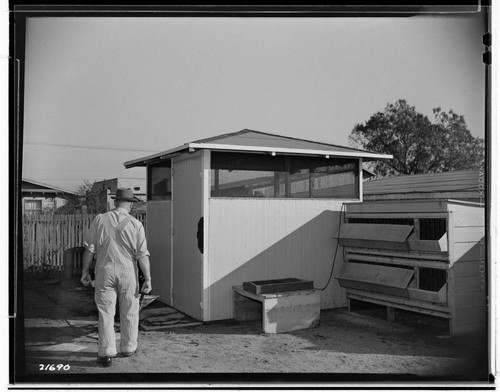 Poultry Book - Busse Ranch