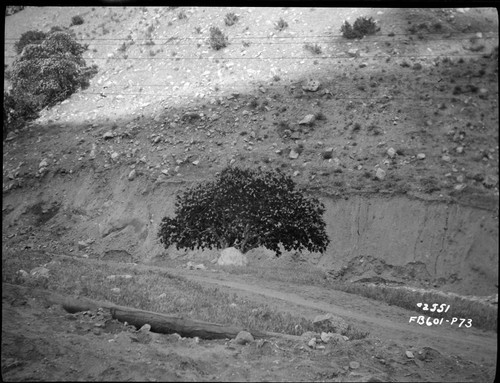 Kern River & Borel Transmission Line