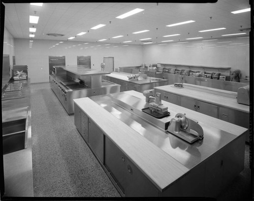 Large commercial food processing, or research & development kitchen with 20 variants