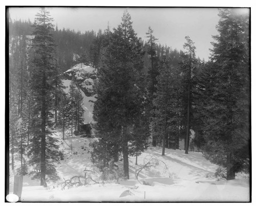 Big Creek, Shaver Lake Dam