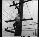 Linemen on working poles