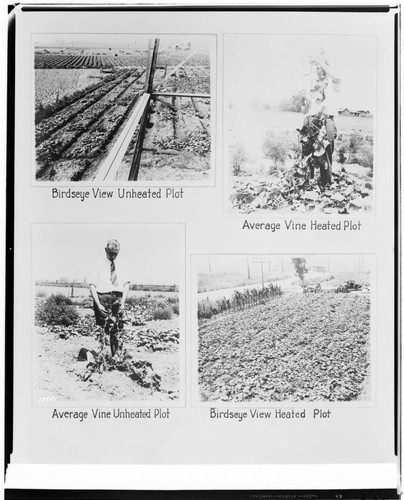 N1 - Nurseries & Soil Heating