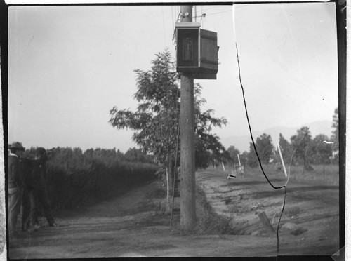 Wood pole distribution line with communications box (?) on nearest pole