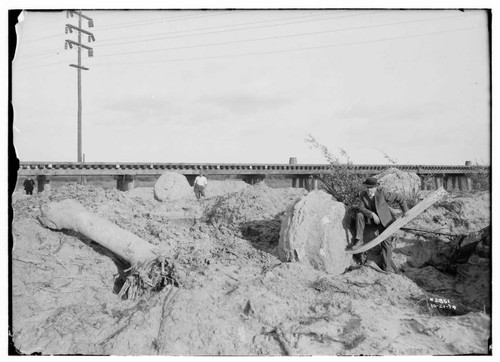 Long Beach-Lighthipe-Laguna Bell Transmission Line