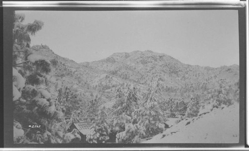 Kern River No. 3 - About Camp