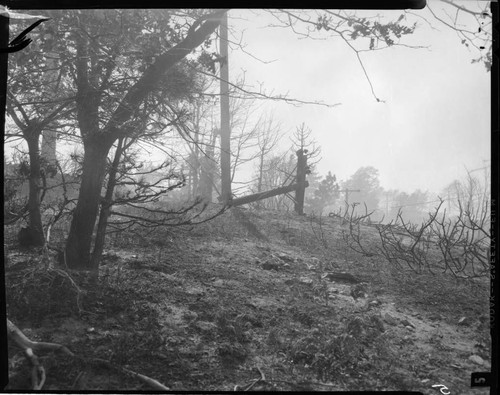 San Bernardino wildfire in 1956