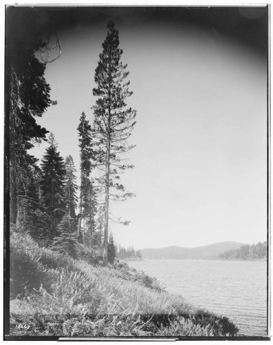 Big Creek Huntington Lake Dams