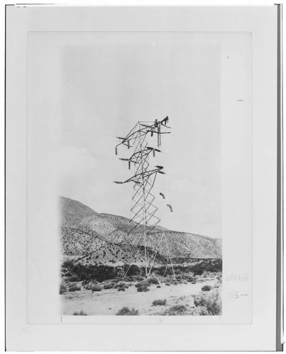 Called "The Tower Line" by employees, the transmission line between Bishop and San Bernardino shown here under construction in 1913 was the longest in the world when completed