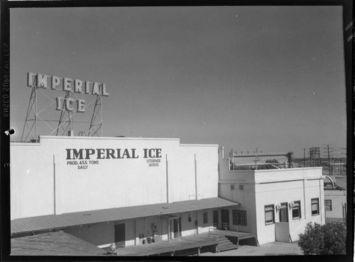 Imperial Ice Plant