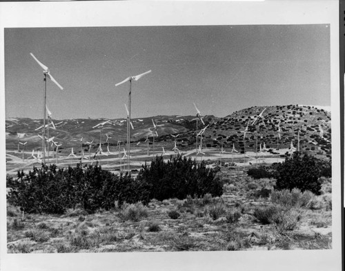 The Transpower Wind Farm at Tehachapi Pass