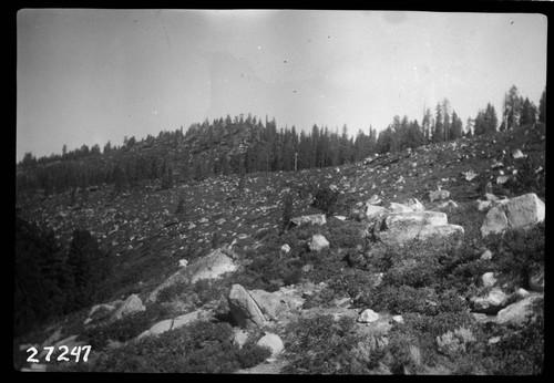 Big Creek, Fish Valley