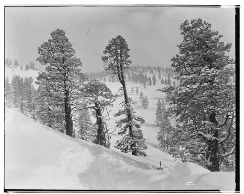 Big Creek Scenery - Snow pictures