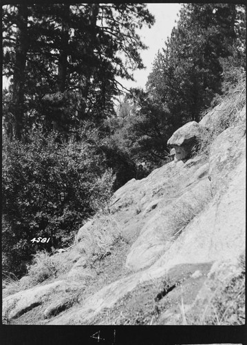 Big Creek, Shaver Lake Dam - Shaver Project