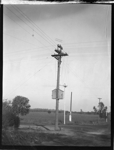 Double circuit wood pole distribution lines with junction pole and communications boxes (?) and light on nearest pole