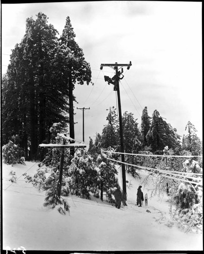 Linemen are replacing a lower distribution line that is nearly buried in snow with much taller one