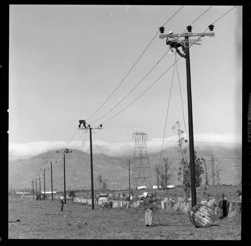 Distribution line construction