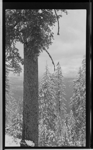 Big Creek, Shaver Lake Dam