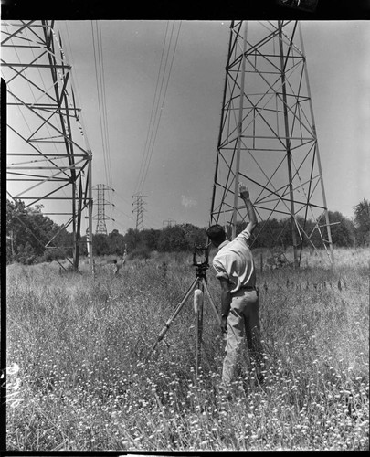 Surveyors working in a transmission line corridor
