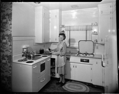 Domestic electric kitchen