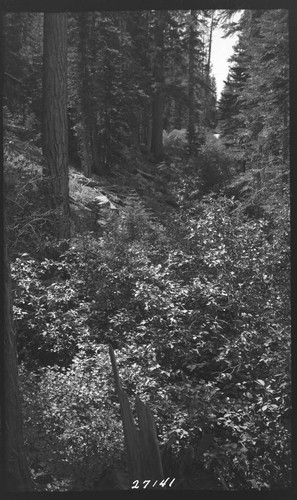 Big Creek, Florence Lake Dam