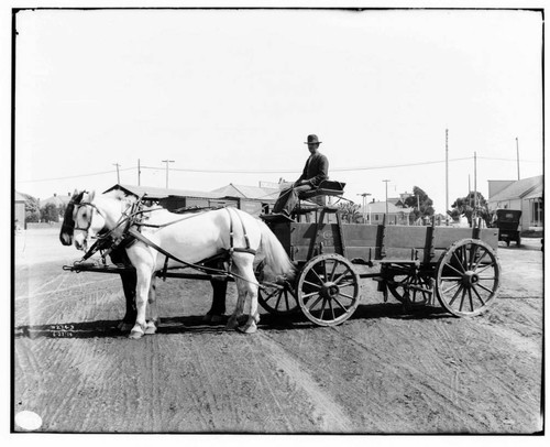 Wagon #15 and team with driver at reins