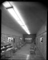 Interior view of a Shoe Store with shoes on display with 1 variant