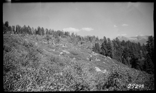 Big Creek, Fish Valley