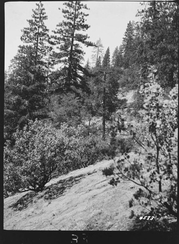 Big Creek, Shaver Lake Dam - Shaver Project