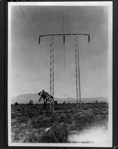 Nevada California Electric Corp