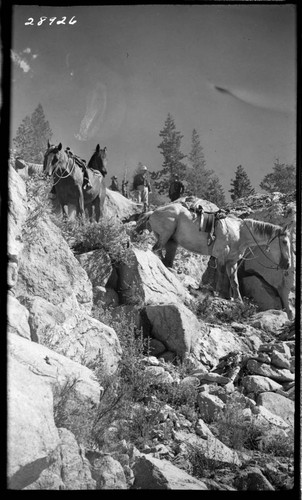 Upper Bear Creek