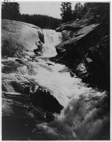 The large volume of water carried by this rushing Sierra torrent even in the late summer months persuaded John Eastwood to name it "Big Creek."