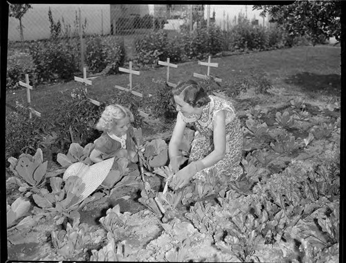 The wife and daughter of Edison employee J.C. Phipps