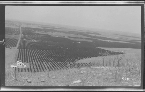 The second part of a landscape view looking west towards Lindsay