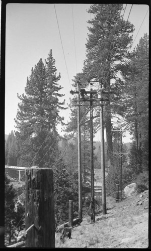 Distribution line through forest