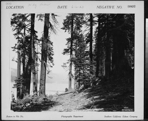 Big Creek Huntington Lake Dams