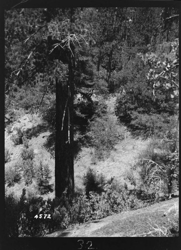 Big Creek, Shaver Lake Dam - Shaver Project