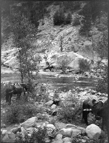 Kern River Miscellaneous