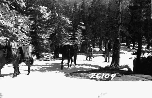 Bear Creek High Lakes