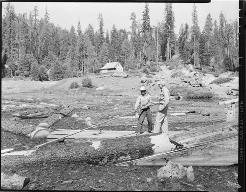 Big Creek Tree Farm