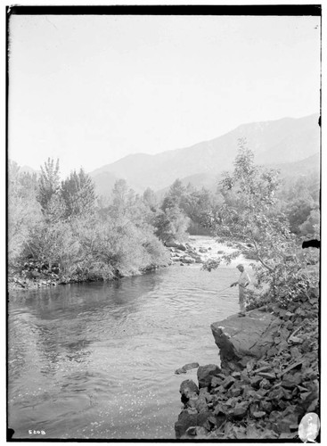 Kern River Miscellaneous