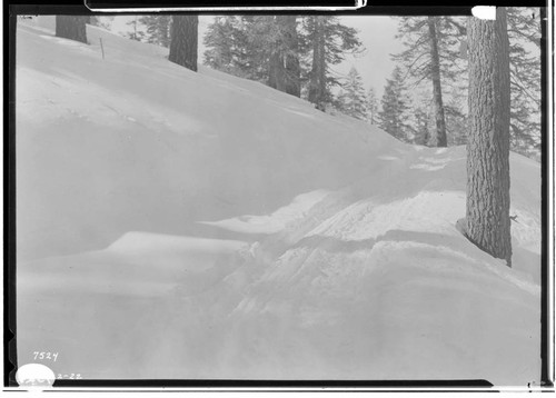 Big Creek, Florence Lake Dam - Sled transportation track on road above Huntington Lake