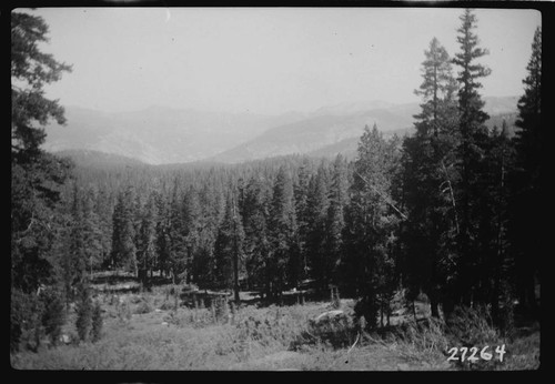 Big Creek, Fish Valley