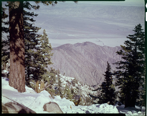 Palm Springs Aerial Tramway